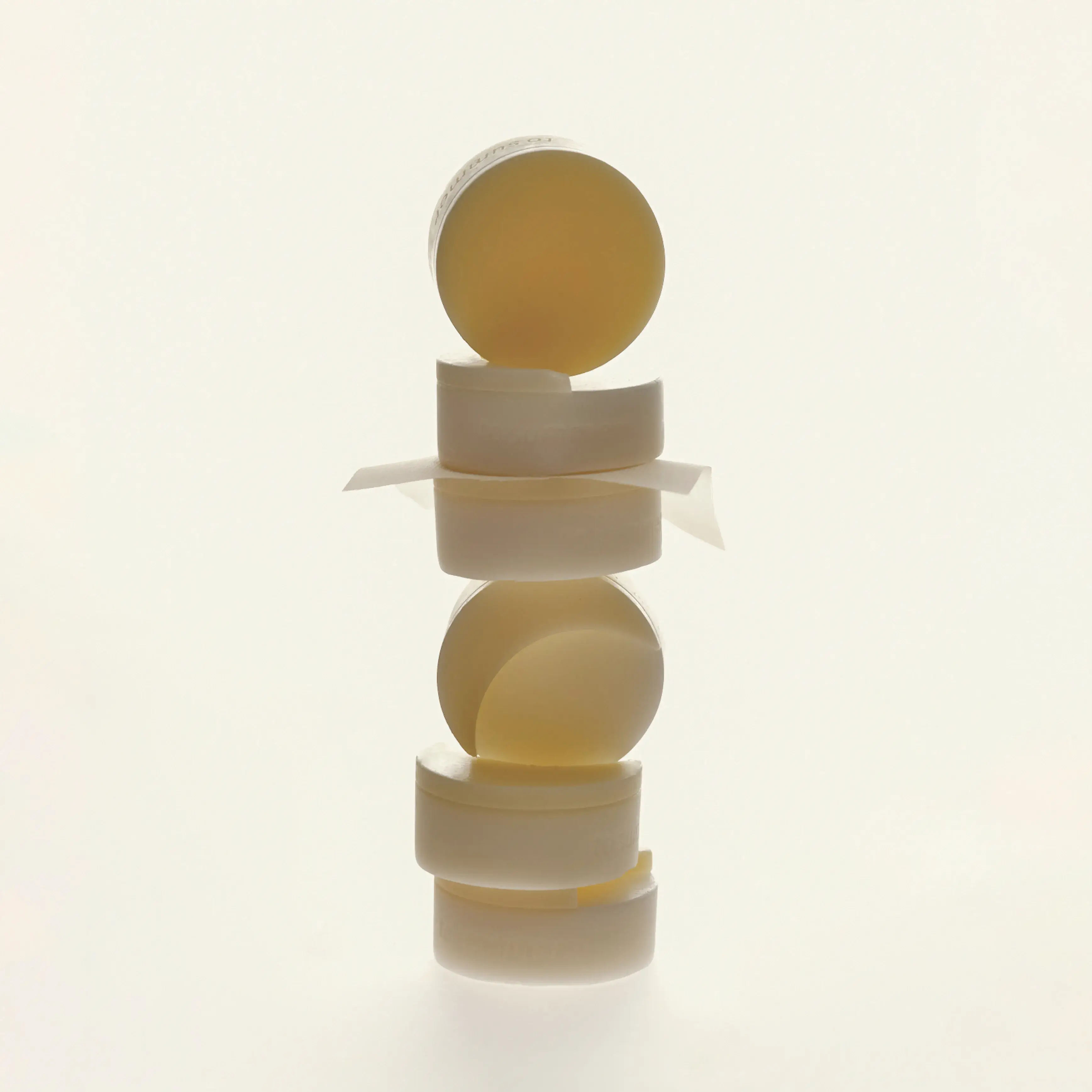 【NEW】AUTUMN SCENTED WAX TABLET - Autumn Limited - Image 4