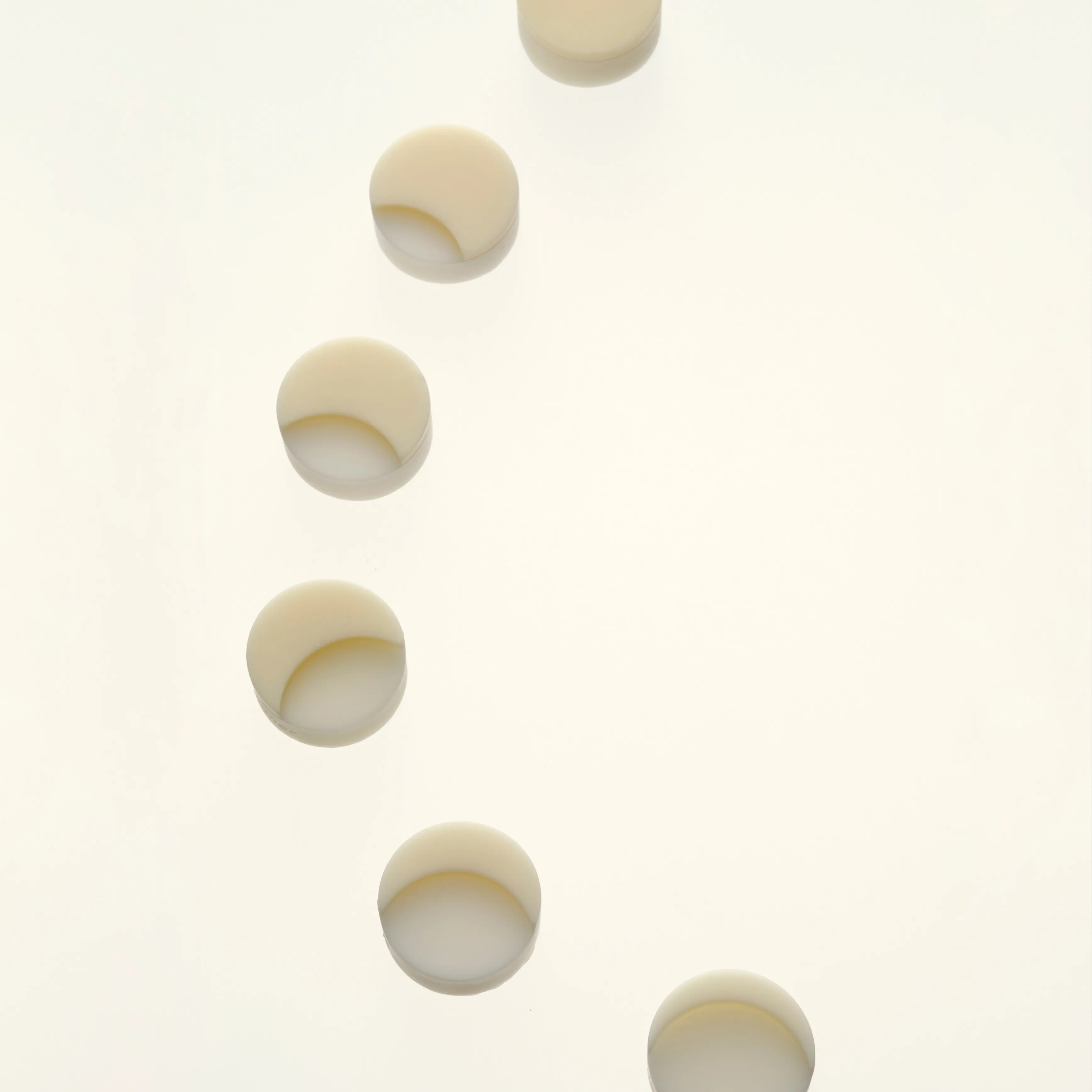 【NEW】AUTUMN SCENTED WAX TABLET - Autumn Limited - Image 5